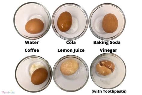 why are hardboiled eggs similar to teeth